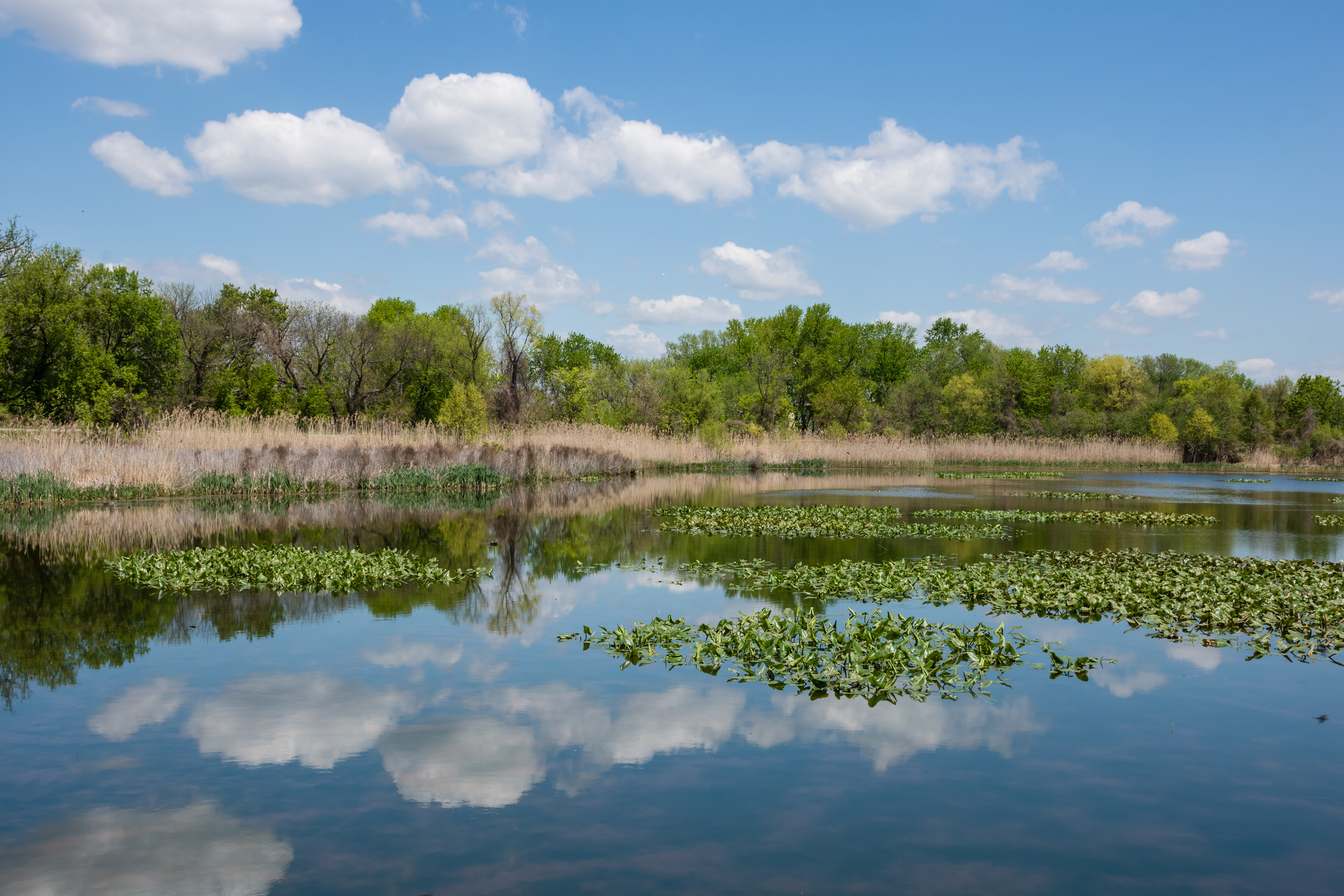 PA Wetlands